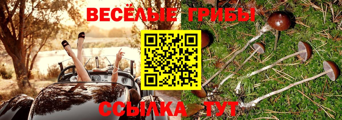 Псилоцибиновые грибы ЛСД  Галлюциногенные грибы Magic Shrooms  Грозный  Вход с VPN 